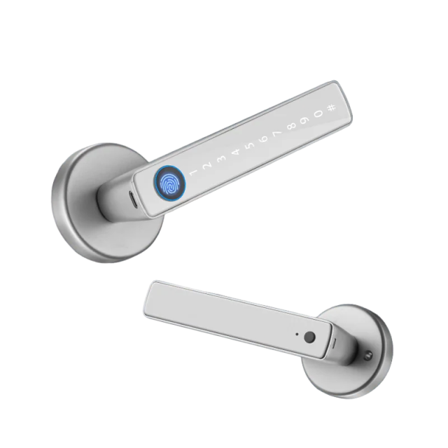XSDTS Smart Door Lock | Fingerprint, Keypad, Card & App | Bluetooth | Tuya Compatible | Easy Install