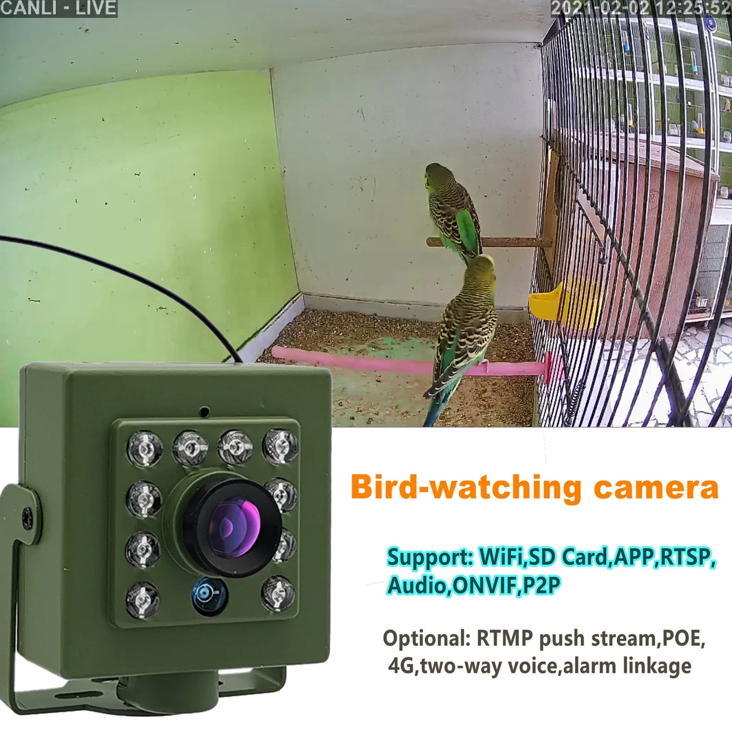 WiFi Bird Box Camera – 5MP HD | IR Night Vision | Motion Detection | 2.8mm/3.6mm Lens | RTSP & FTP