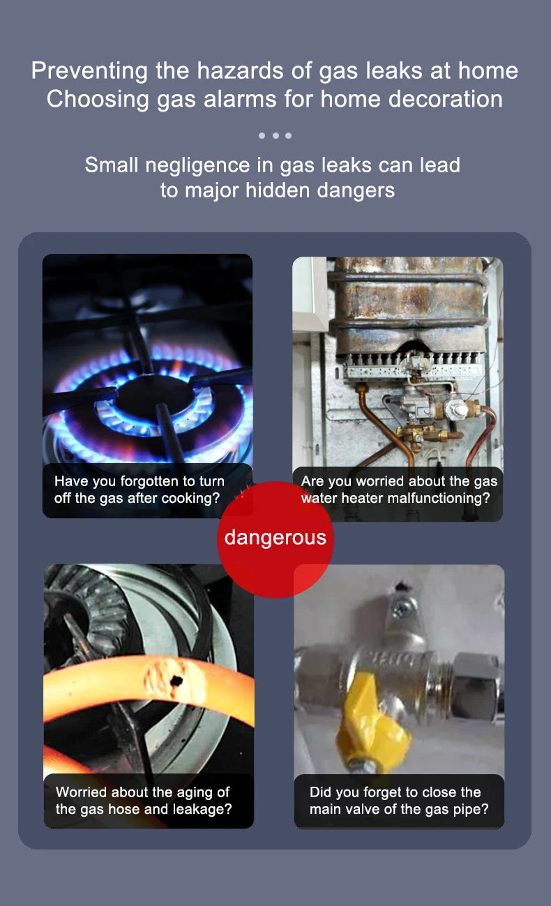 Tuya Smart WiFi Gas & CO Detector | CH4, Methane, Propane, Carbon Monoxide Alarm | Smart Life App | 90dB Sound Alert