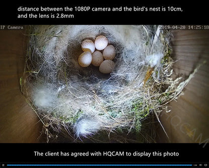 WiFi Bird Box Camera – 5MP HD | IR Night Vision | Motion Detection | 2.8mm/3.6mm Lens | RTSP & FTP