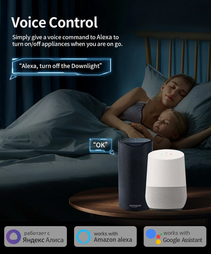 Smart WiFi/Zigbee Plug EU 16A/20A with Power Monitoring | Alexa & Google Home Compatible